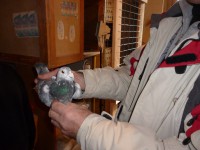 /album/rok-2015/p1020641-jpg/